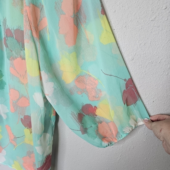 Lane Bryant Sheer Blouse Womens 22/24 Plus Size Chiffon Floral Tunic Top - Picture 4 of 11